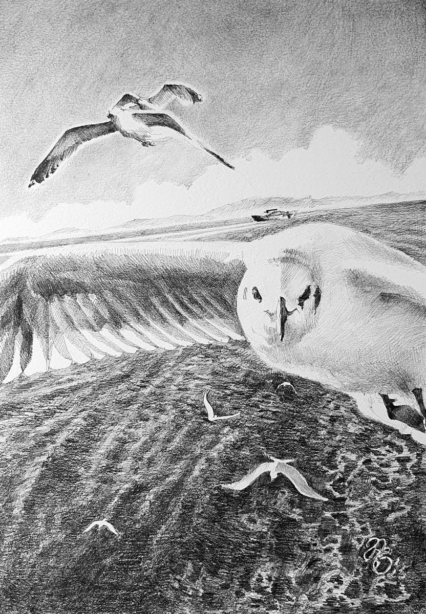 Photorealistic Animal Pencil Drawing By Sonata Art, 13 X 17", Feel The Sky To Be A Bird, Original Artwork