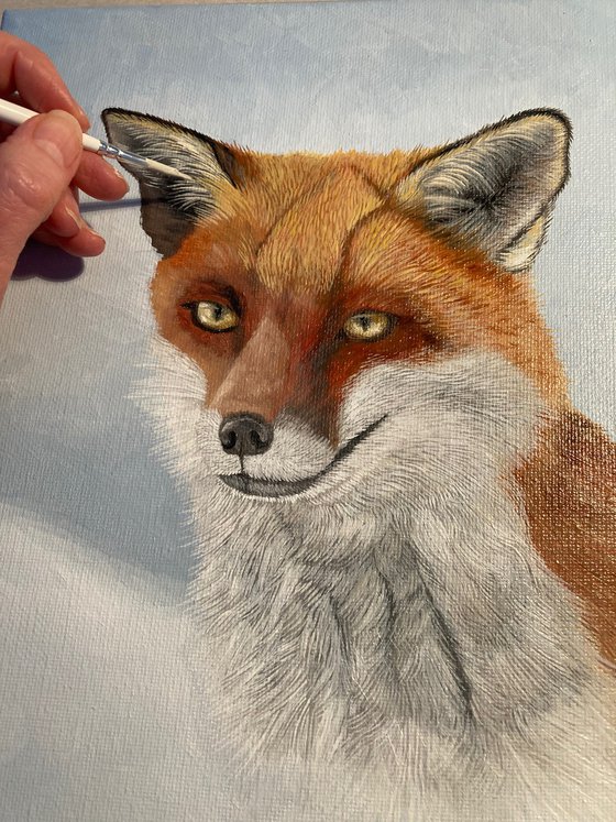 Red Fox In The Snow
