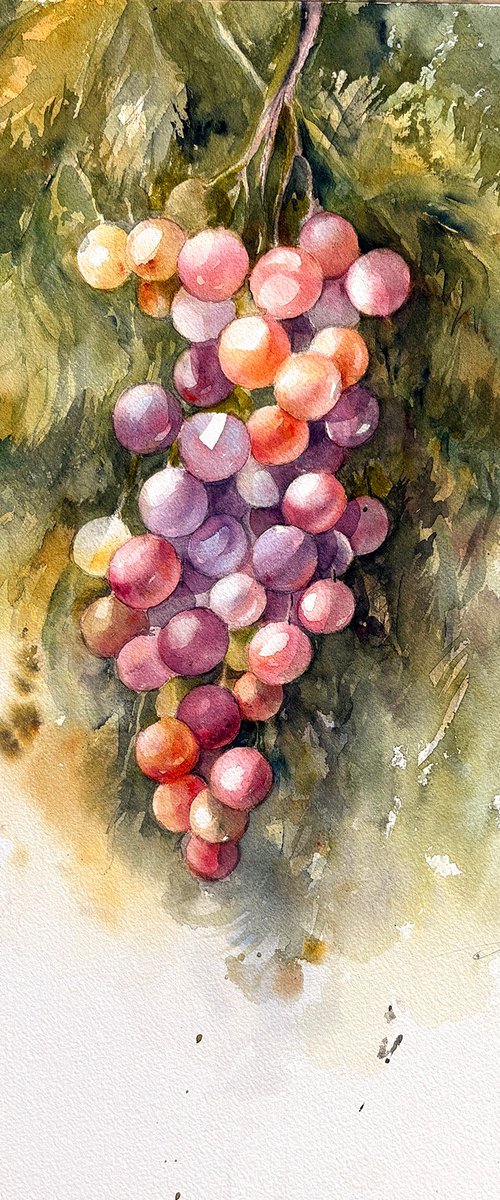 Ripe and Ready_Grapes by Arti Chauhan