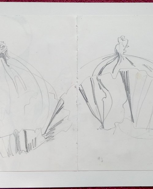 Two figs sketch by Hannah Clark