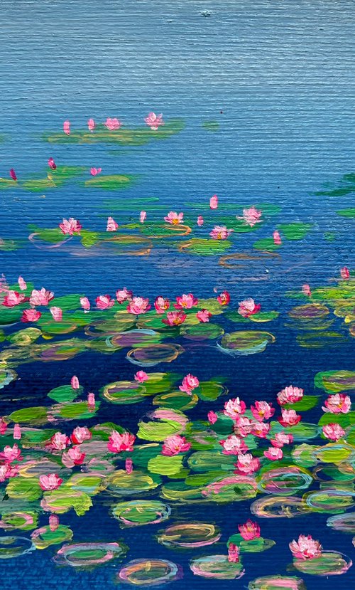 Pink water lilies bunch by Amita Dand