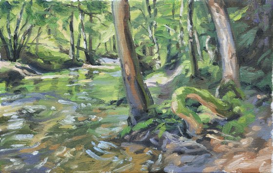 River in the heart of the forest