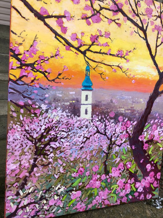 Spring in Prague. Sunset