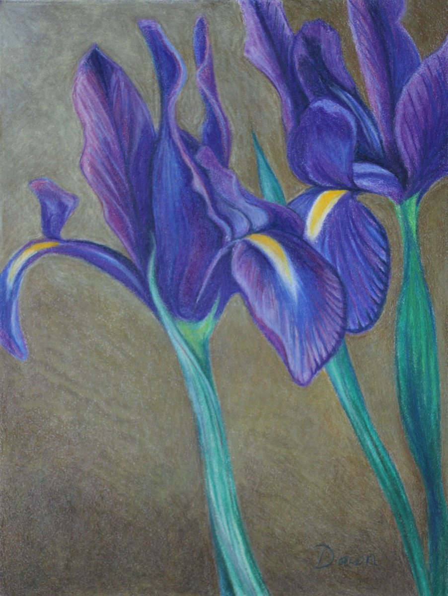 Irises by Dawn Rodger by Dawn Rodger