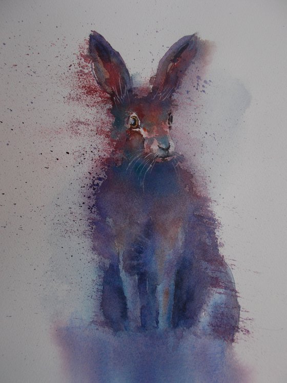 hare 5