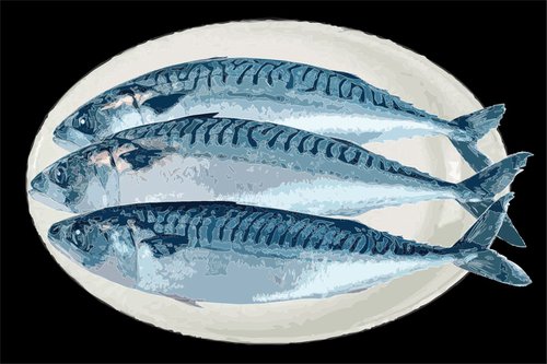MACKERAL ON A PLATE by Keith Dodd