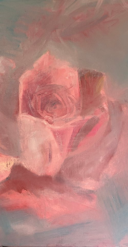 Pink Rose by Ryan  Louder