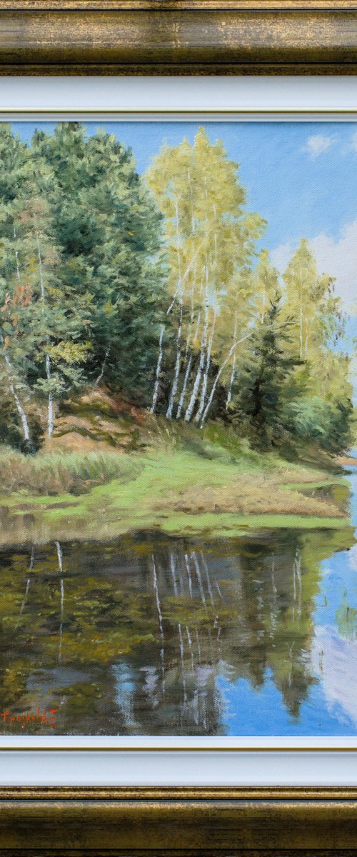 Birches by the Bay by Dejan Trajkovic