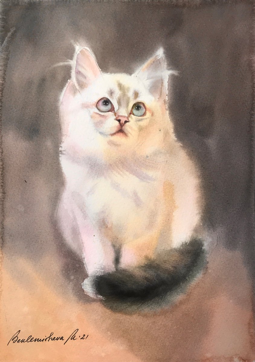 White kitten by Maria Beklemisheva