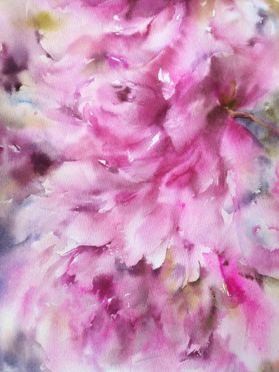 Peony flowers painting