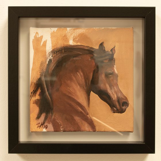 Equine Head Arab Chestnut (study 7)