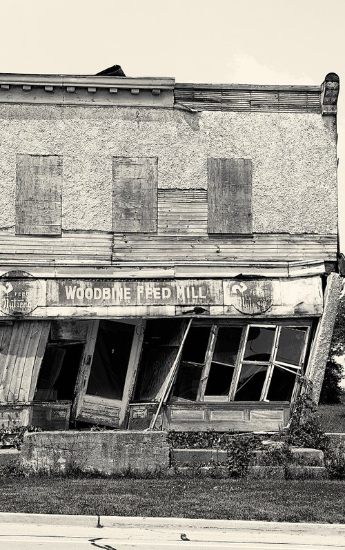 Woodbine Feed Mill by Robert Tolchin