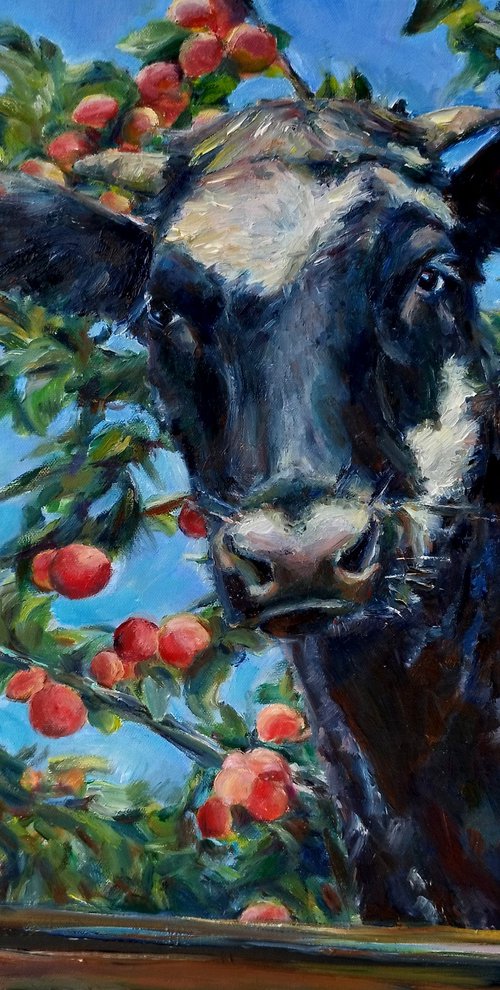 Cow At The Window by Jura Kuba Art