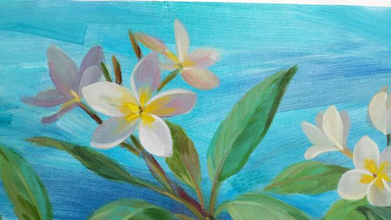 Oceanside Plumeria