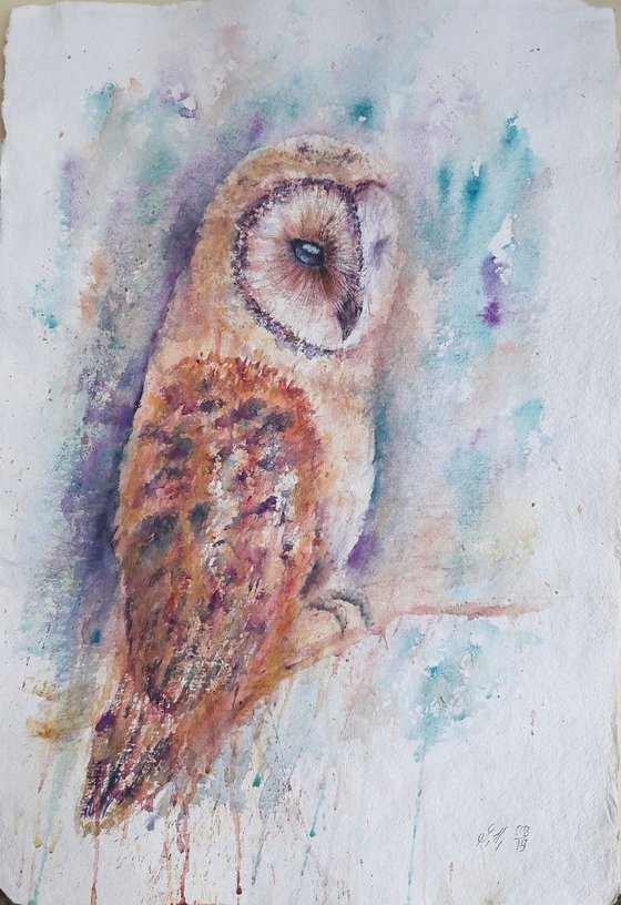 Owl