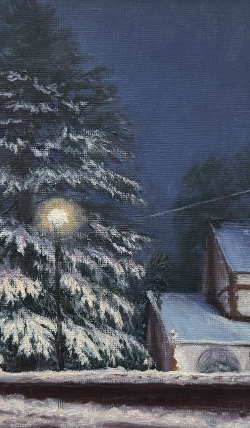 December Snow Wills Grove (2) by Diana Sandetskaya