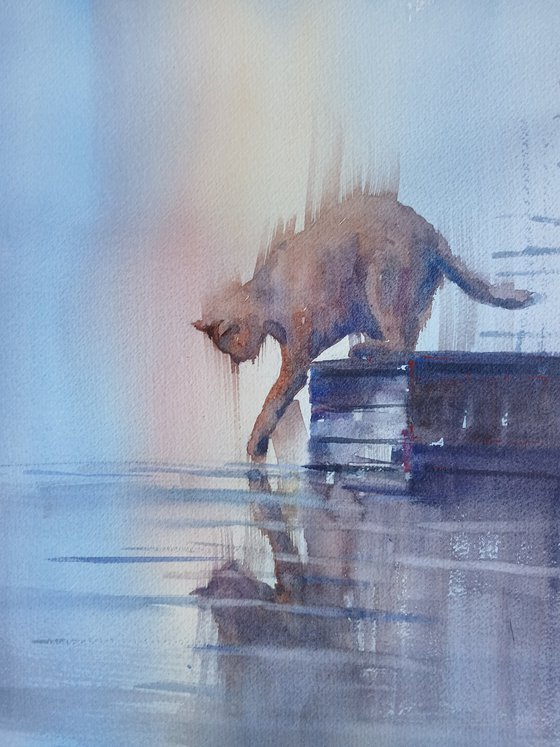 cat 21
