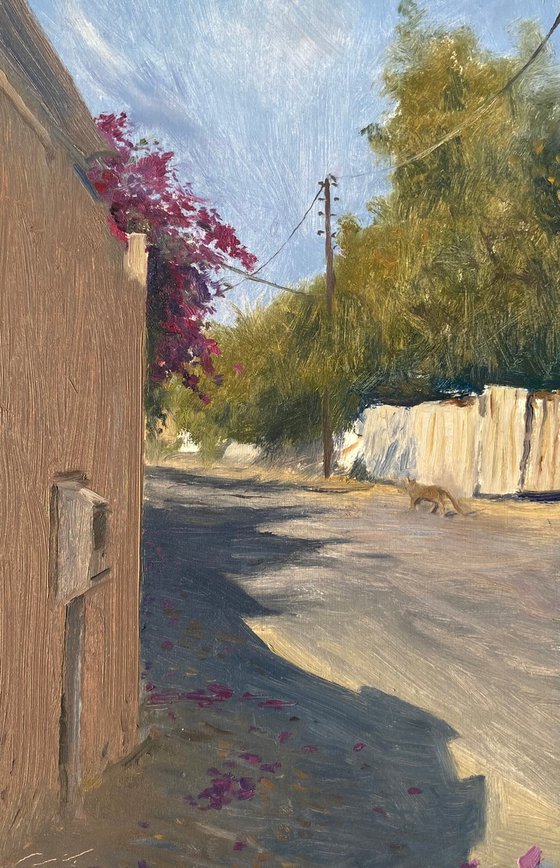 Cat Passing By