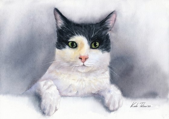 Cat portrait