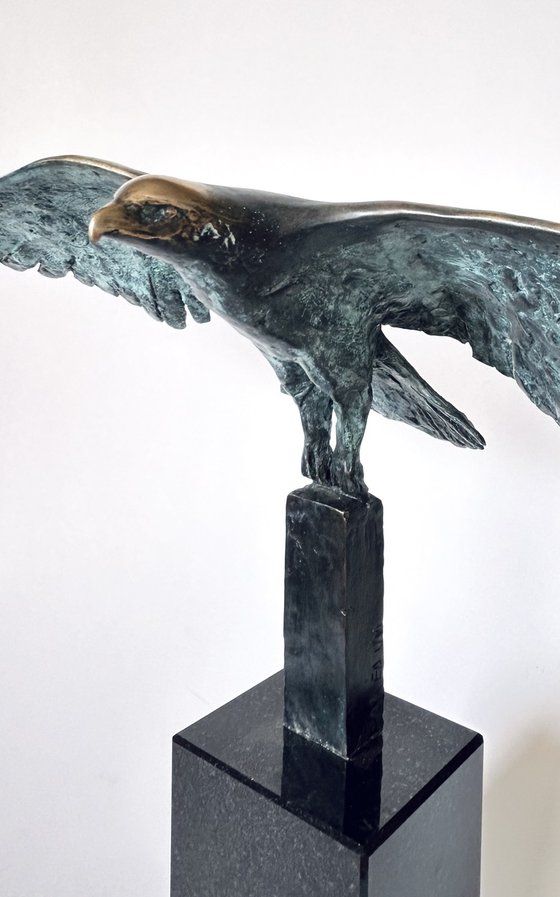 The Embrace of the Wind