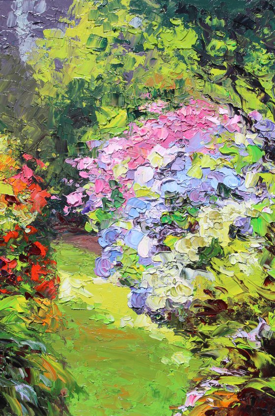 Garden Hydrangeas