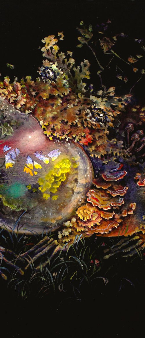 Frog Terrarium by Veta Bakhtina