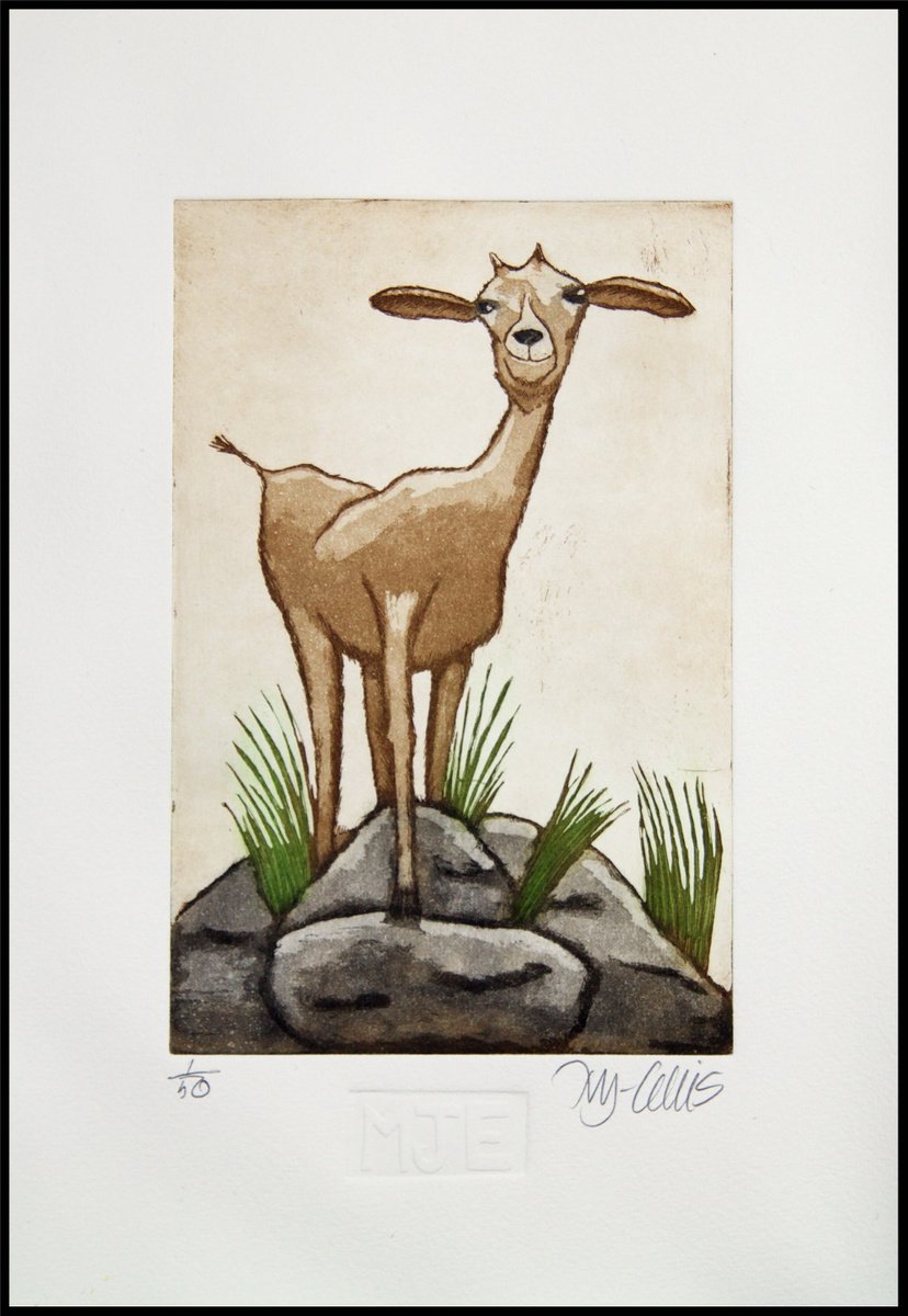 Just a little goat, aquatint etching by Mariann Johansen-Ellis
