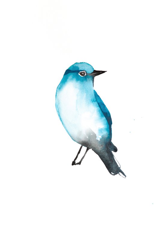 Bird