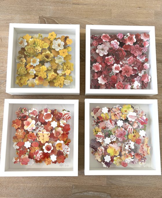 Full Bloom III