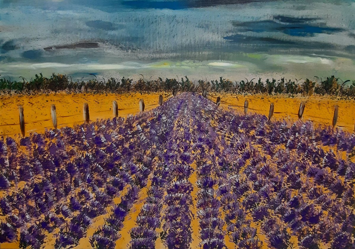 Lavender Field by Laima Kukucioniene