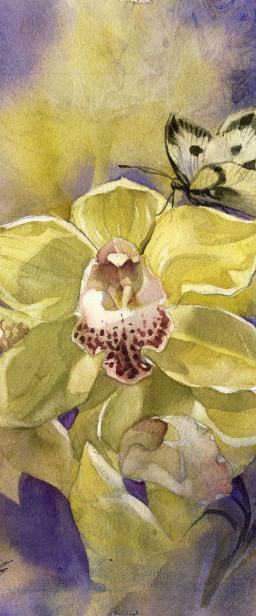 Cymbidium orchid with butterfly by Alfred  Ng