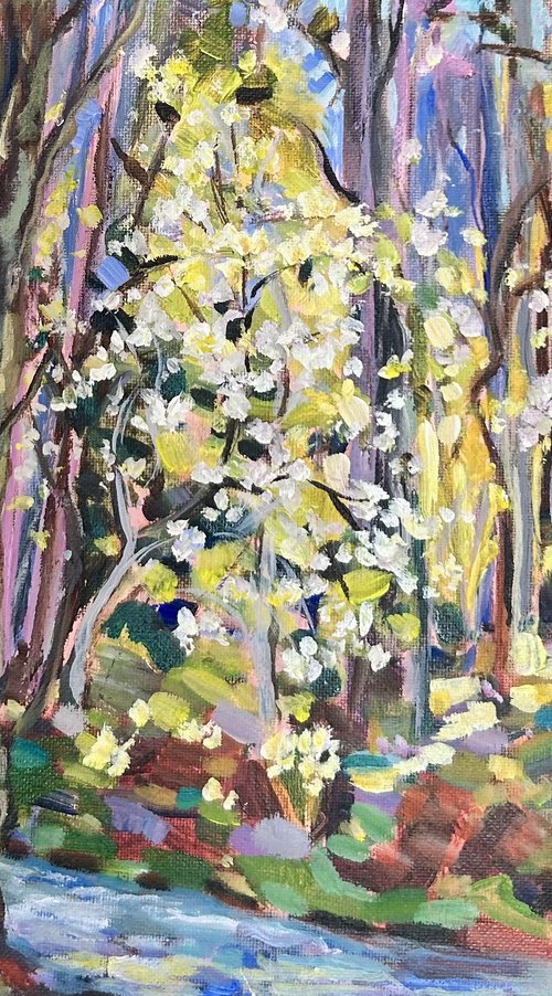 Elements by Annette Wolters