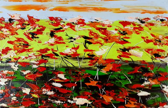 A Meadow Full Of Poppies 1