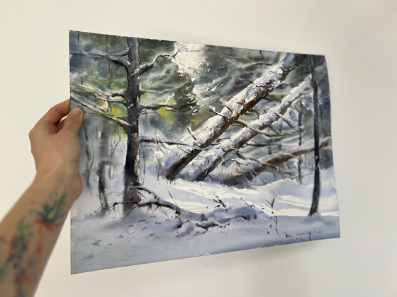 Winter’s Quiet Breath