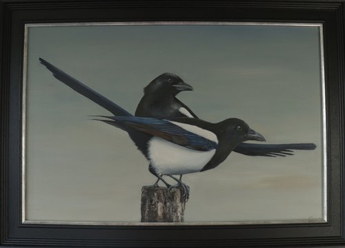 Two for Joy- Magpies by Alex Jabore
