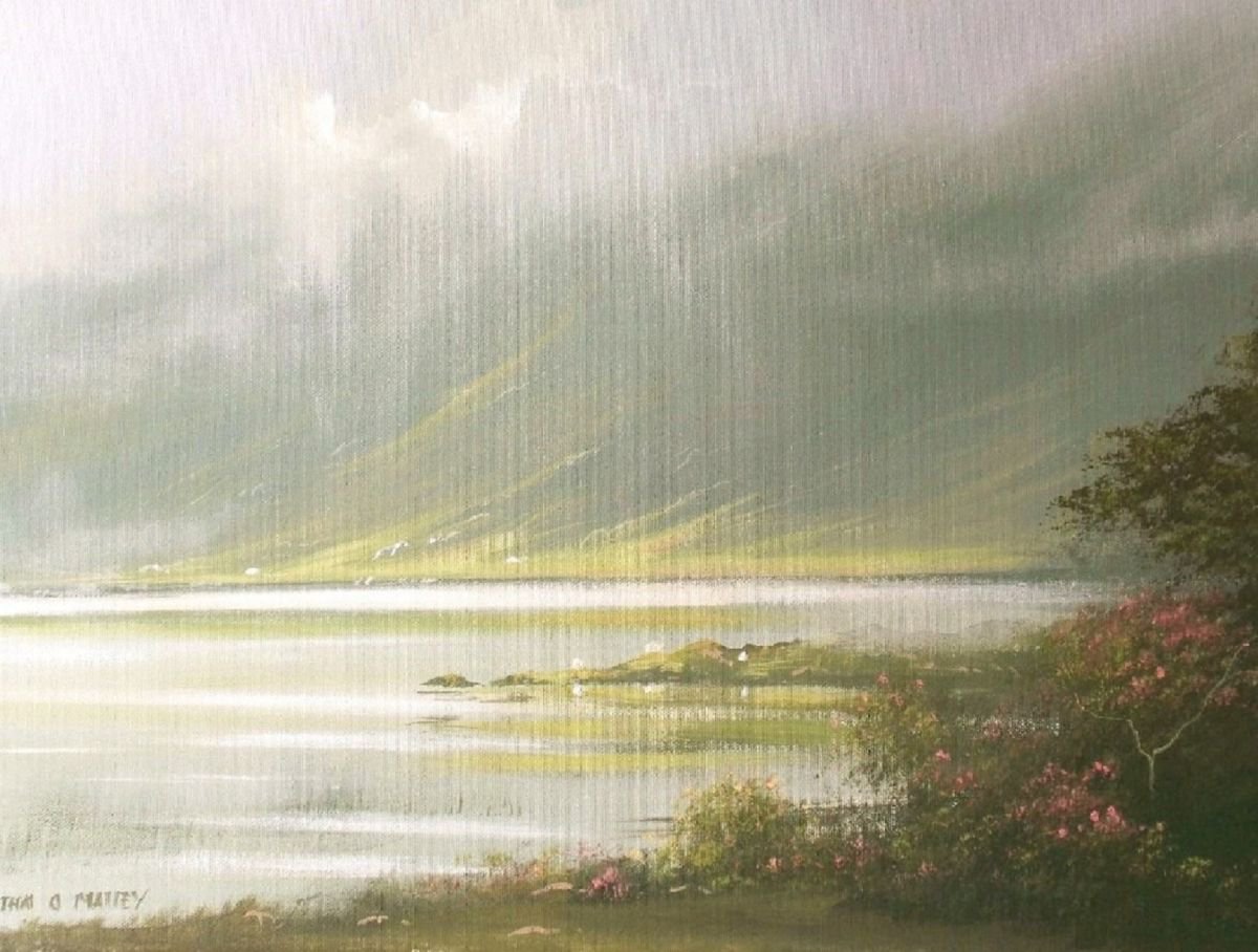 misty morning light by cathal o malley