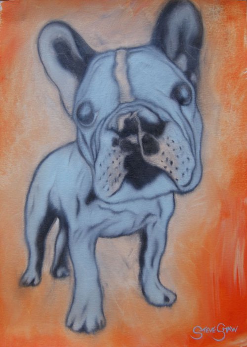 Sky Blue Pooch ( oil on paper ) Free Shipping by Steven Shaw