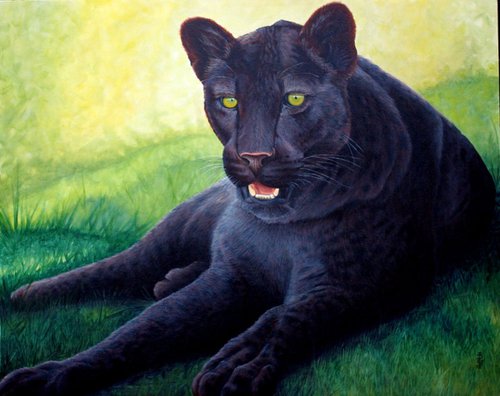Lazy day panther. by Pauline Sharp