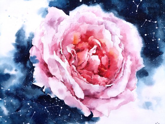 Modern watercolor artwork "Cosmos of a rose flower"