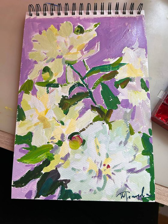 Peonies flowers