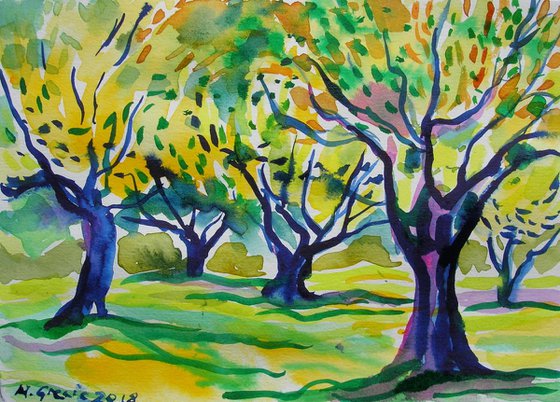 Olive grove No 2