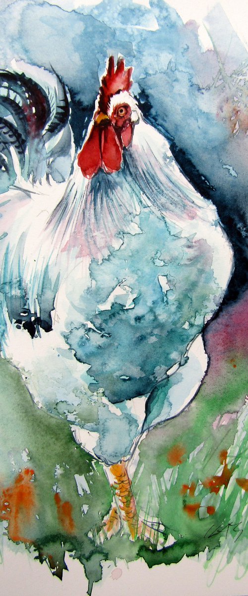 White rooster by Kovács Anna Brigitta
