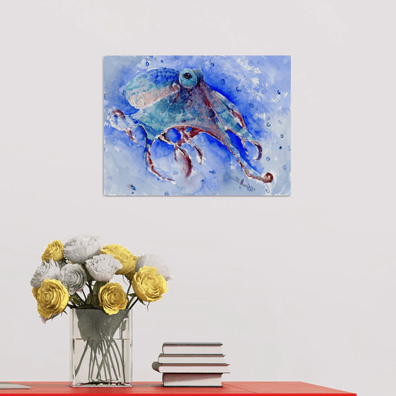 Octopus