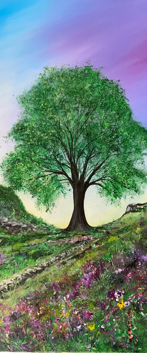 Sycamore Gap by Jan Rogers