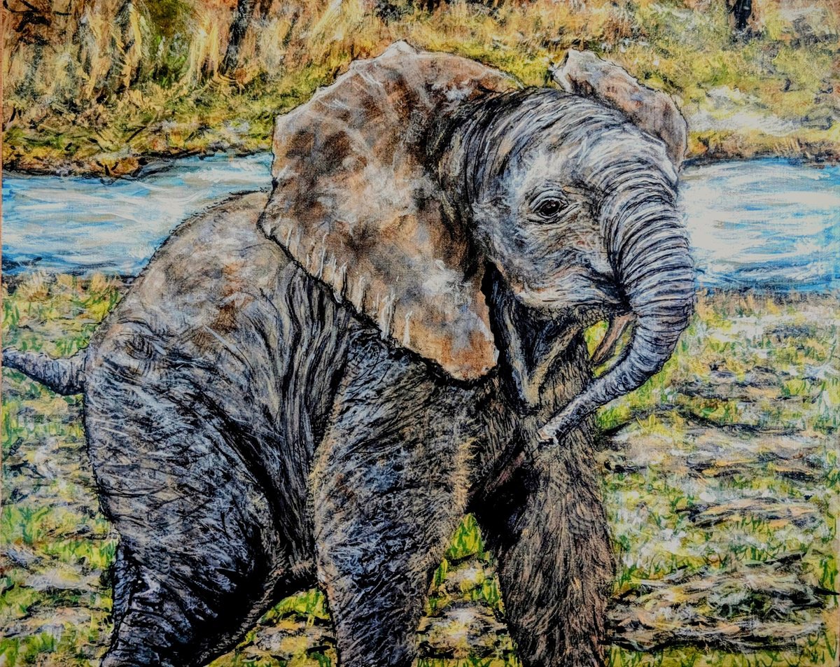  Baby Elephant, Elephant 4 By Robbie Potter, 20 X 16, Artwork For Sale On Artfinder
