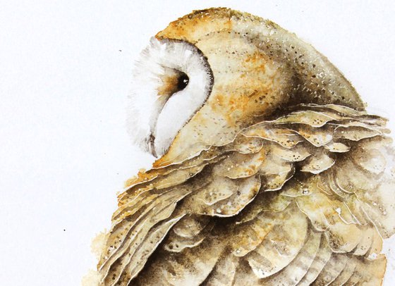 Barn Owl,  bird, birds, animals, wildlife watercolour painting