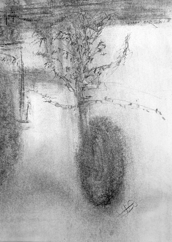 Vendanges 17