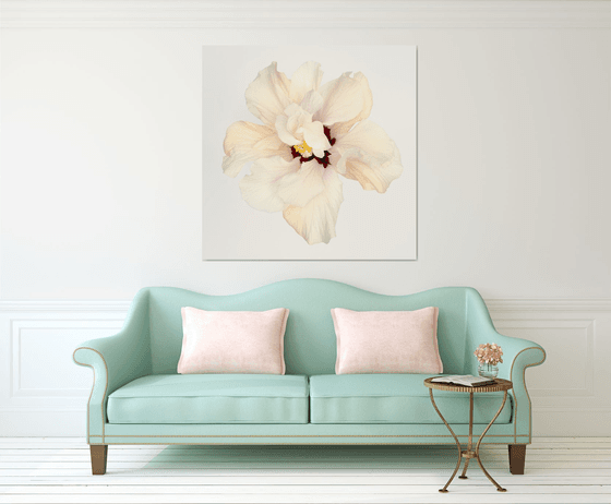HIBISCUS IN WHITE