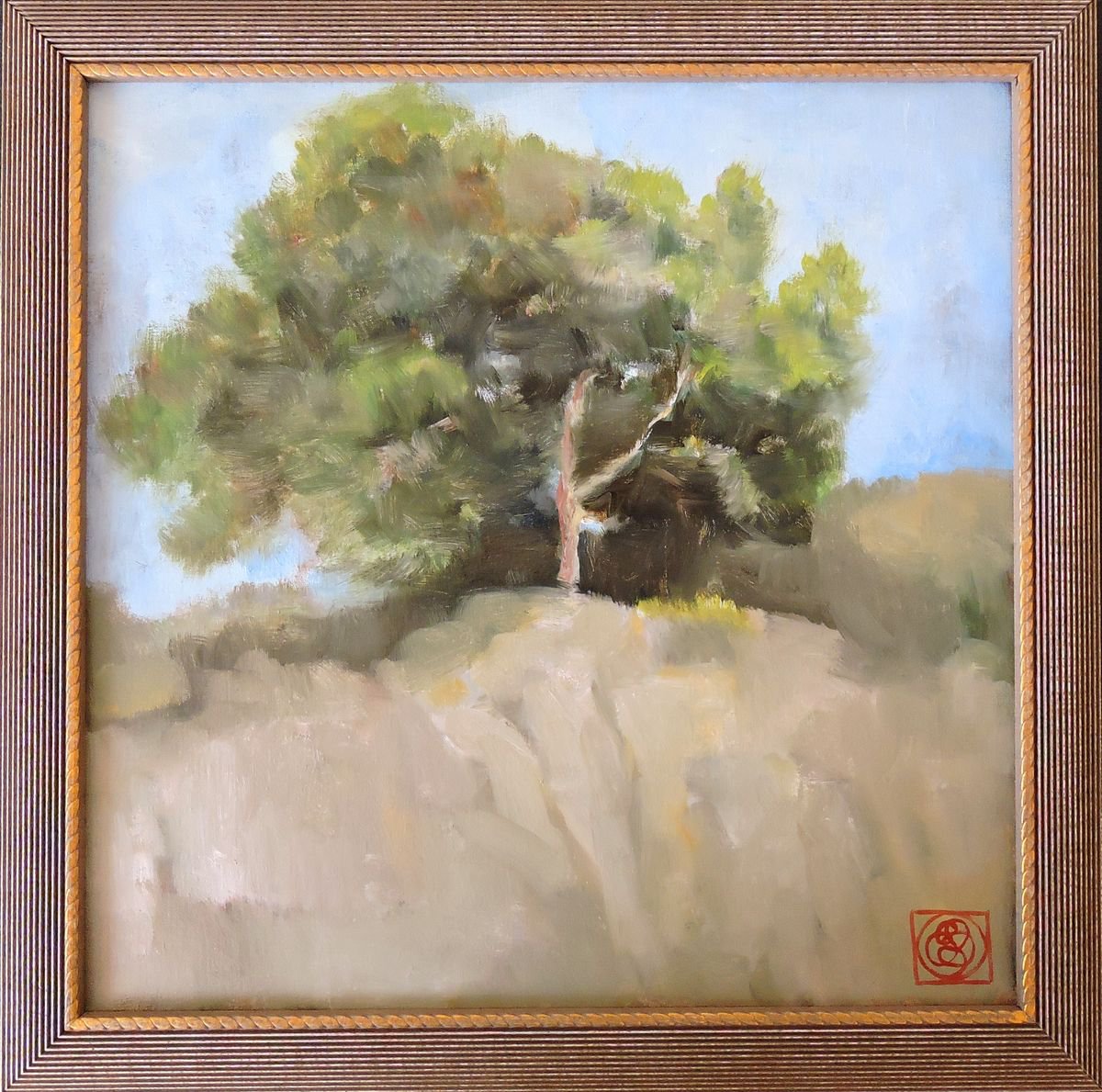 Expressive Landscape Oil Painting By Katia Bellini, 17 X 17", Pine Tree Study, Original Artwork