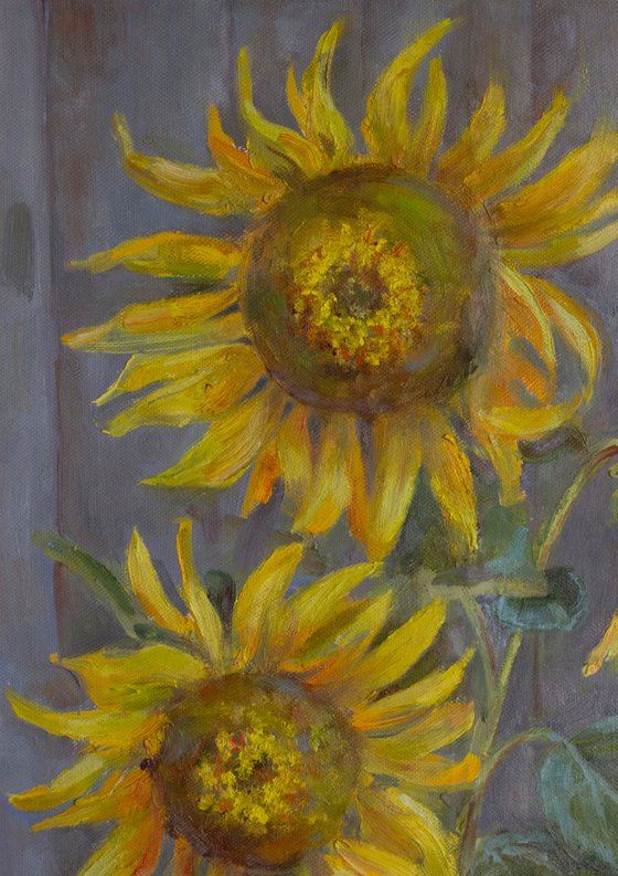 Sunflowers